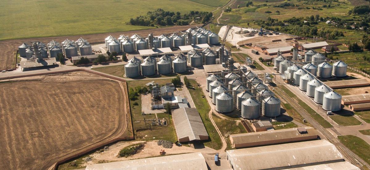 Битва за спадщину Яковишина на Чернігівщині: суд зупинив переоформлення «Землі і Волі»