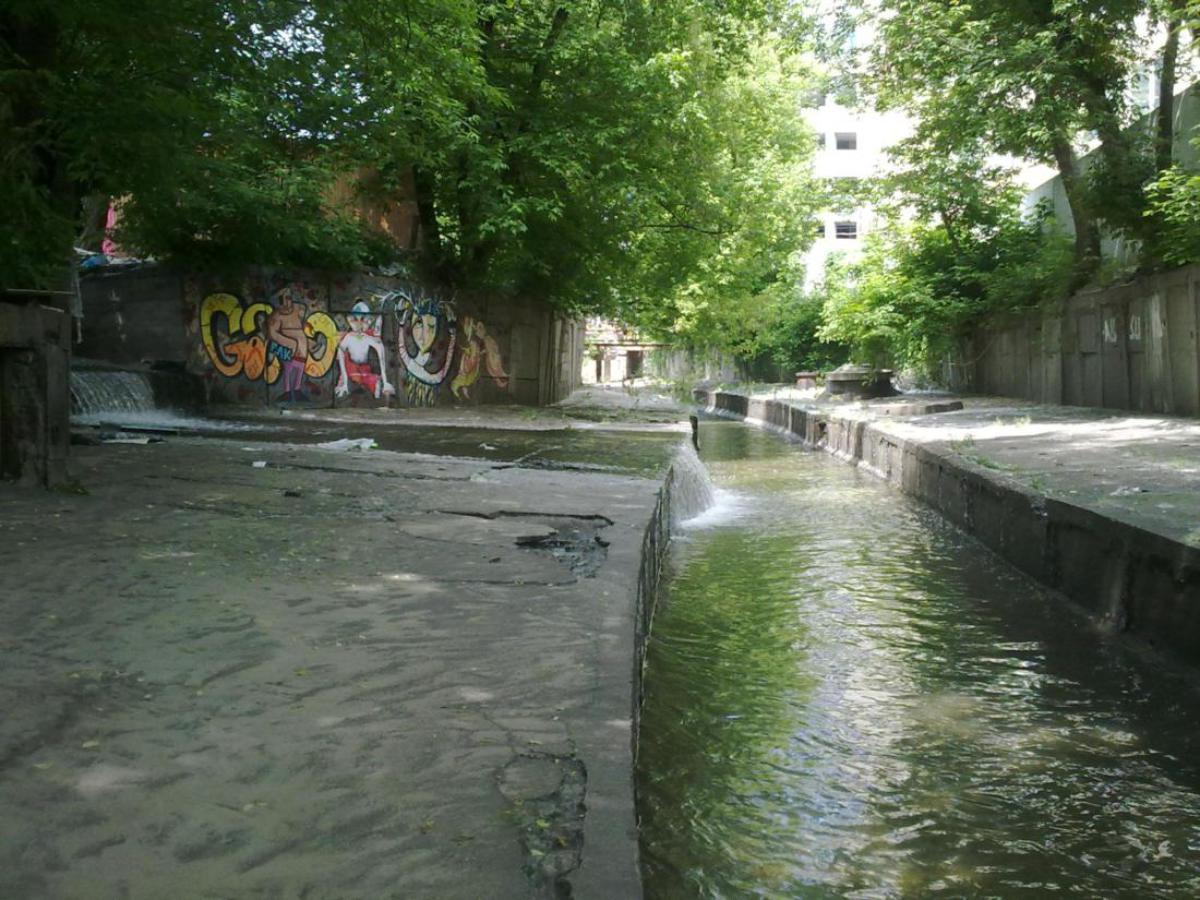 Либідь відходить у вічність...