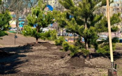 У Києві розікрали майже 7 мільйонів на «ґрунтосуміші для парків»: на лаві підсудних директор фірми і колишній керівник КП