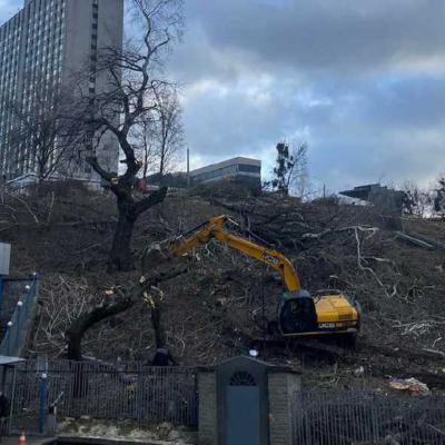 ​​Семейка мошенника Габовича построит небоскреб на Черепановой горе